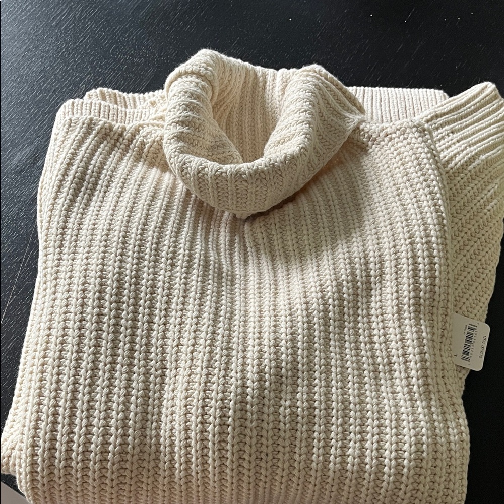 Free People Swim Too Deep sweater